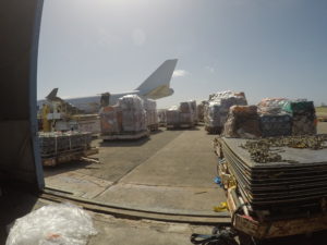 new york jet charter cargo